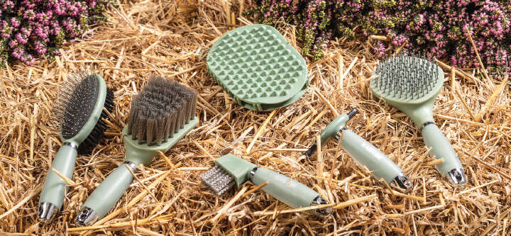 kantrie themeneinstieg putzen und pflegen 1600x740